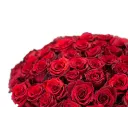 Kytice rudých růží